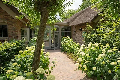 Vlindervallei Studio 2p
