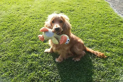 Wohnung in Silbecke mit Garten