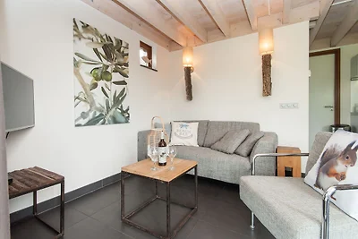 Modernes Ferienhaus zwischen Schoorl und...