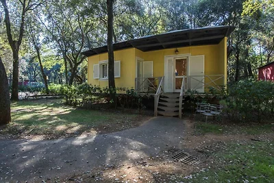 Bungalow a San Vincenzo con piscina