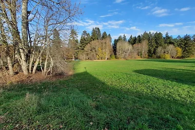 Ketterer Hinterzarten Schwarzwald