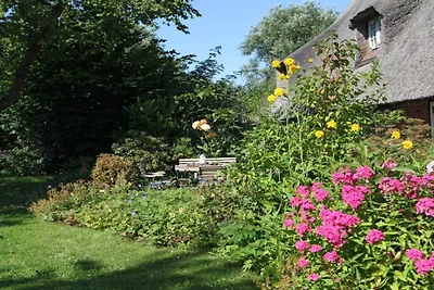 Ferienhaus mit 3 Schlafzimmer