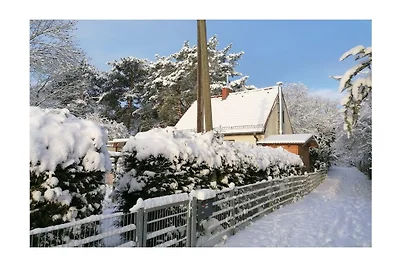 Wohnung mit 1 Schlafzimmer
