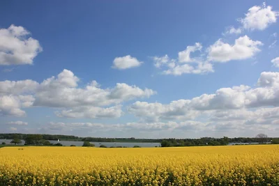 Ferienwohnung Schöne Aussicht