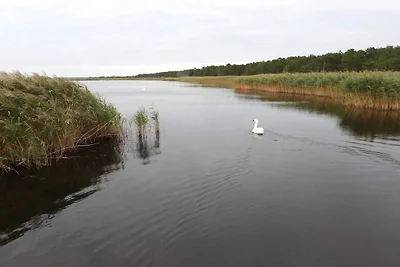 6 persone case ad Vig-By Traum