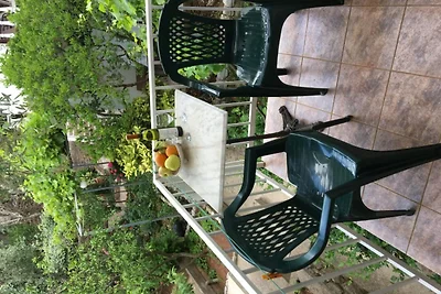 Comfortable Budva Rooms - Double Room 1