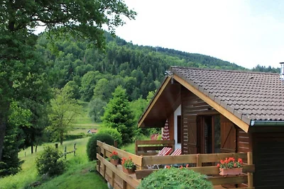 Gemütliches Chalet mit Geschirrspüler in den...