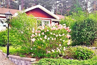 6 persoons vakantie huis in VäTö