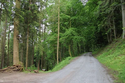 Idyllische Ferienwohnung in Schiltach in...