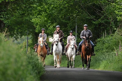 Ferienhaus in Dordogne Estate