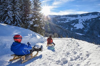 Gemütliche Wohnung an der Skipiste