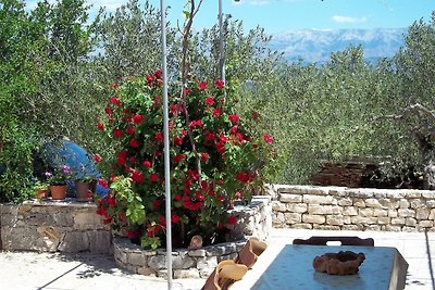 Casa vacanze a Mirca con terrazza