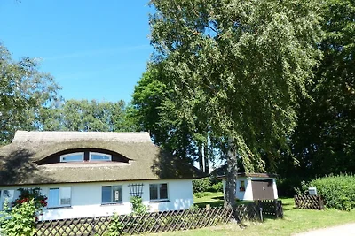 Urlaub unterm Reetdach