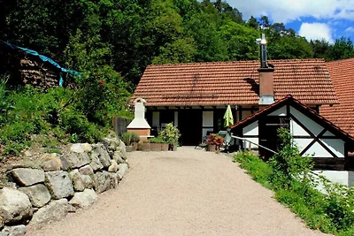 Kuća za odmor Dopust za oporavak Reichenbach