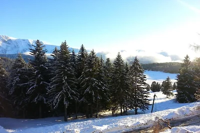 Wohnung in Chamrousse nahe Skipisten
