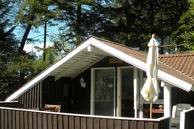 4 Personen Ferienhaus in Jerup-By Traum