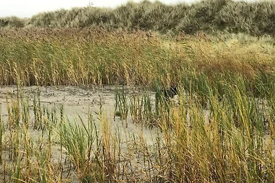 4 Personen Ferienhaus in Læsø-By Traum