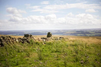 Haustierfreundliche Hütte am Seeufer.