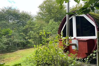 9 Personen Ferienhaus in SÖSDALA