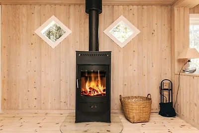 4 Personen Ferienhaus in Skagen-By Traum