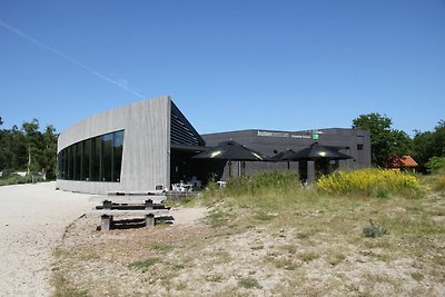 Gemütliche Wohnung in Schoorl in Waldnähe