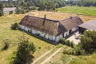 4 Personen Ferienhaus in Læsø-By Traum