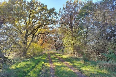 Nella regione (estate) (>5 km) Nella regione (estate) (>5 km)