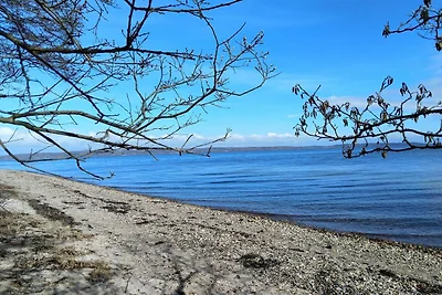 4 Sterne Ferienhaus in Børkop