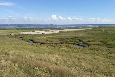 5 Personen Ferienhaus in Rømø-By Traum