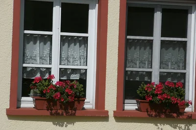 Wohnung mit Tierpark und Sonnenterrasse