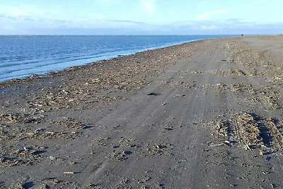 12 Personen Ferienhaus in Fanø-By Traum