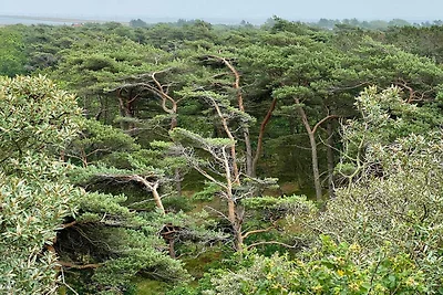 Rifugio tranquillo a Bolilmark-By Traum