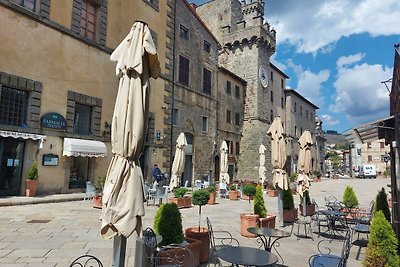 Reizendes Ferienhaus in Santa Fiora mit...