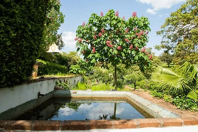 Agriturismo a Montemor-o-Novo con piscina