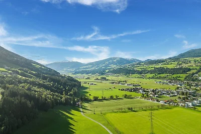 Wohnung in Mittersill mit Bergblick