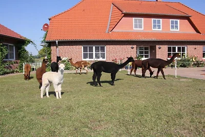 Ferienhaus Erholungsurlaub Carpin