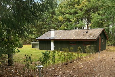 Ruhiges Ferienhaus in Jütland mit Garten