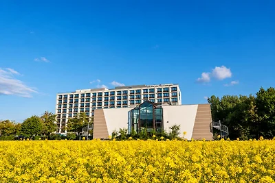 Sunday am Main Taunus Zentrum Frankfurt/Sulzb...