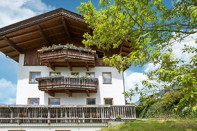 Angenehme Wohnung in Stummerberg