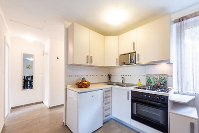 Central apartment in Dubrovnik with private...