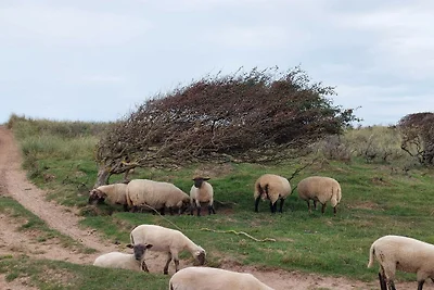 6 persone case ad Hjørring
