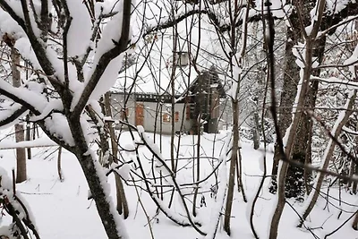 Chalet in Le Planay mit Zugang zu den...