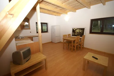 Wunderschönes Chalet mit Terrasse in Dabo