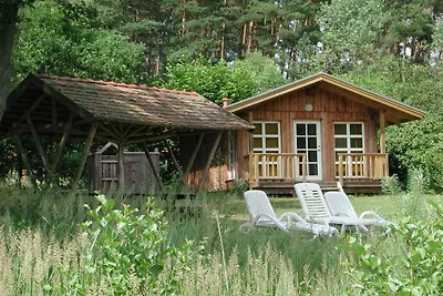 Kiwi Ferienwohnung 7