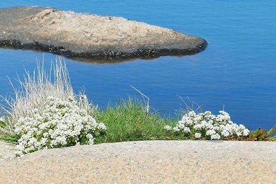 5 Personen Ferienhaus in LYSEKIL