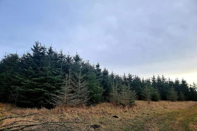 Ritiro di lusso con spa a Thorsager -- By Tra...