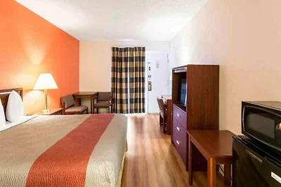 1 łóżko typu king-size | Apartament, dla niep...