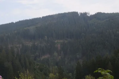Gemütliche Ferienwohnung im Harz