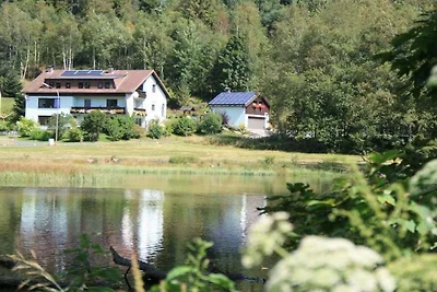 Ferienwohnung in Fichtelberg mit Wifi