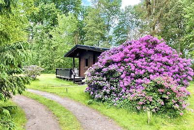 Vakantiehuis op een manege